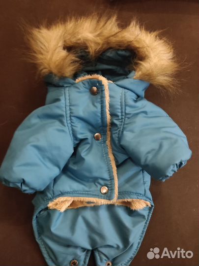 Одежда для собаки