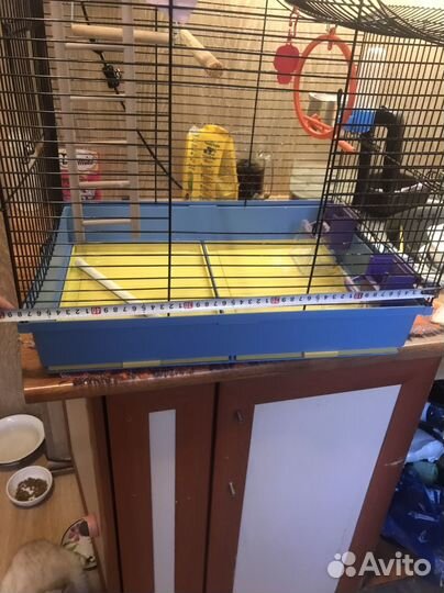 Клетка для попугая