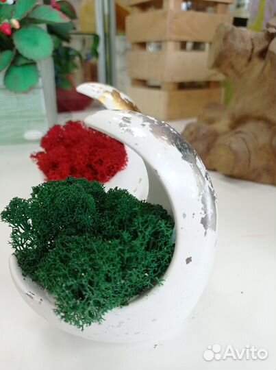 Гипсовое кашпо со мхом