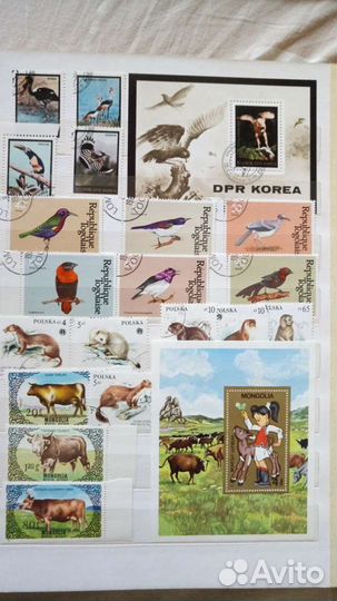 Марки СССР Фауна Флора 1983-1987г (Бел обл)