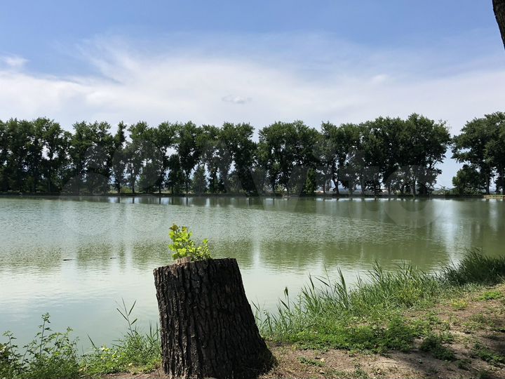 Участок 13 га (промназначения)