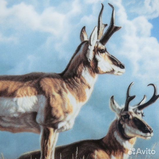 Тарелки серии Портреты Дикой Природы Канады