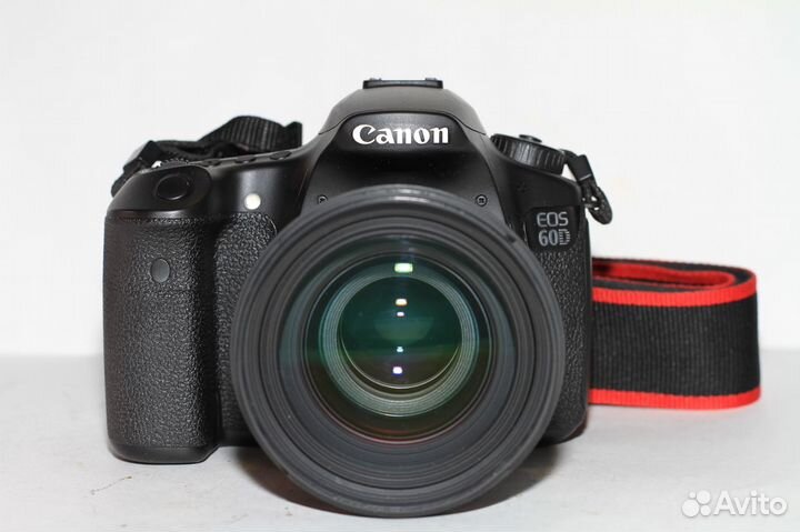 Canon 60D + Sigma 50mm 1.4