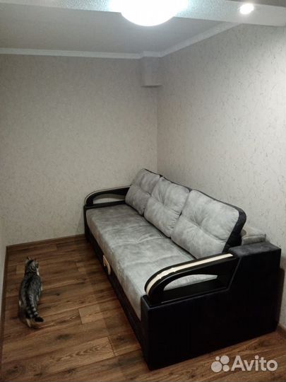 Шпаклёвка и Поклейка обоев