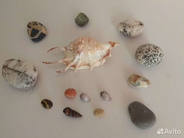 Ракушки и камни для декора и творчества