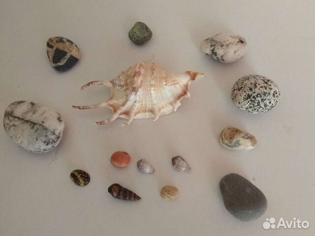Ракушки и камни для декора и творчества
