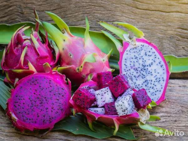 Питахайя (Драконий фрукт)