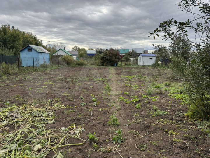 Участок 6 сот. (СНТ, ДНП)