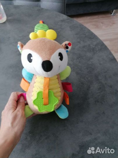 Развивающий бобёр