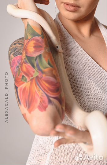 Аренда змеи для фотосессии