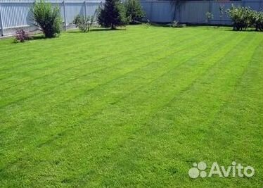 Газон рулонный гарантия