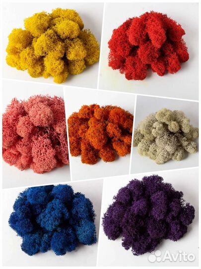 Стабилизированный мох ягель 4 кг, арт 33