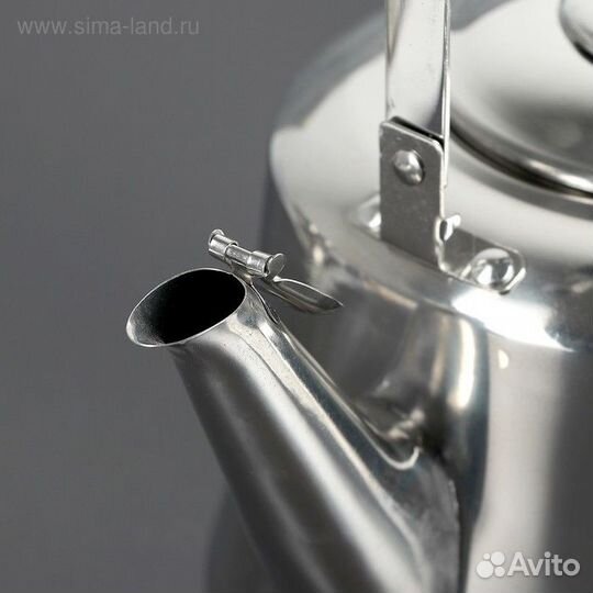 Чайник из нержавеющей стали «Чайковский», 3 л, цве