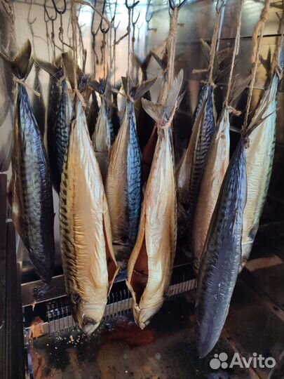 Угорь горячего копчения