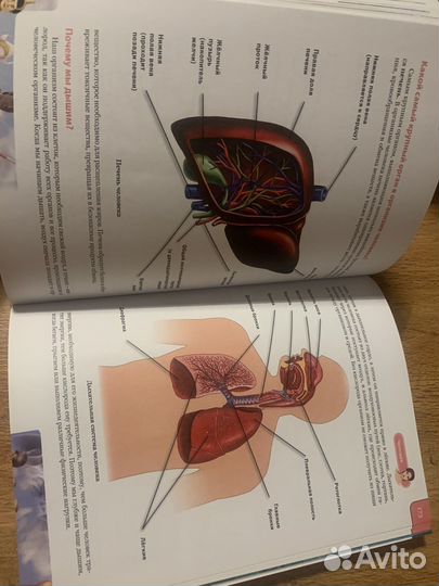 Полная энциклопедия для детей