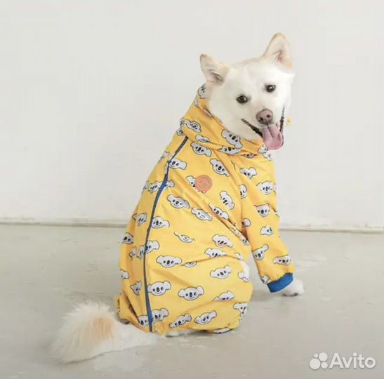 Дождевик для собаки