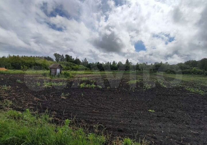 Участок 50 сот. (ИЖС)