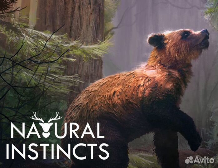 Natural Instincts: European Forest (Ранний доступ) (Steam)