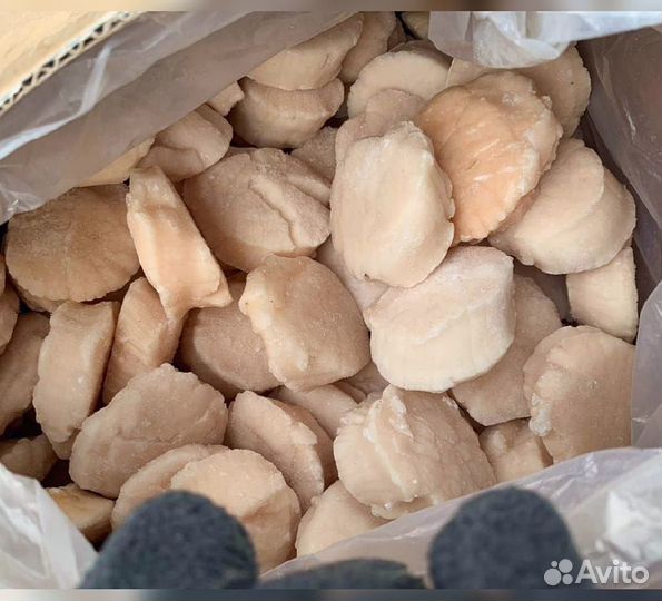 Гребешок Сахалин