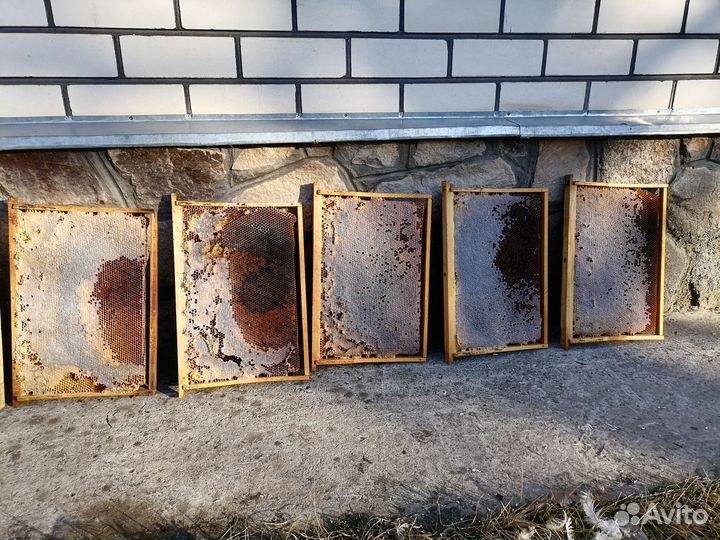 Рамки с сушью