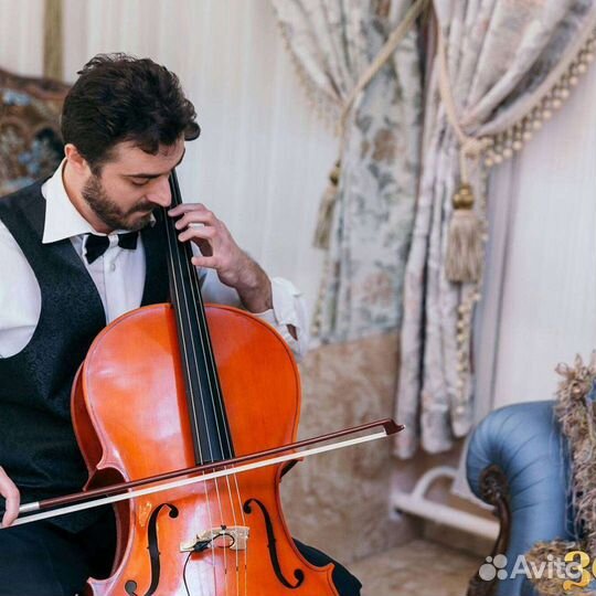 Музыкант на свадьбу/юбилей