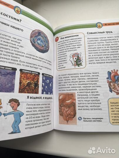 Энциклопедия для детей