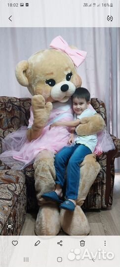 Поздравление от ростовой куклы мишки Милашки