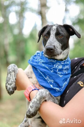 Малыш из приюта ищем дом