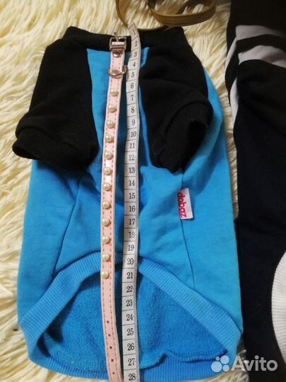 Одежда для собак таксы щенка, взрослой