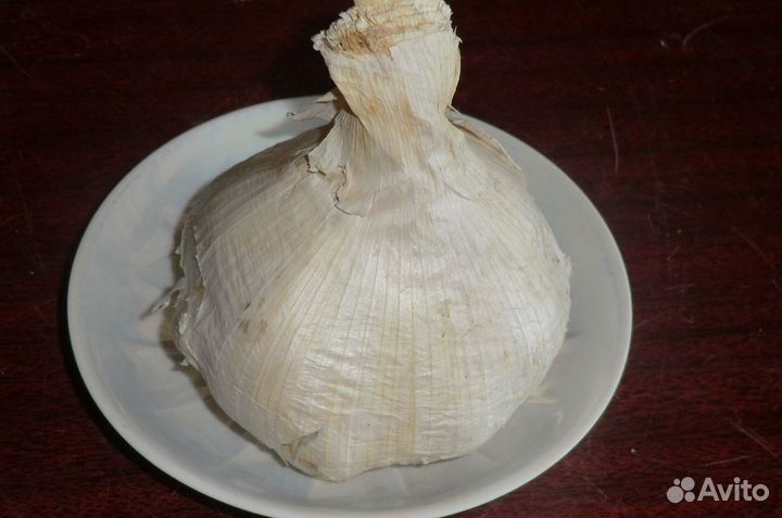 Чеснок рокамболь