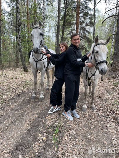 Конные прогулки, прокат лошадях