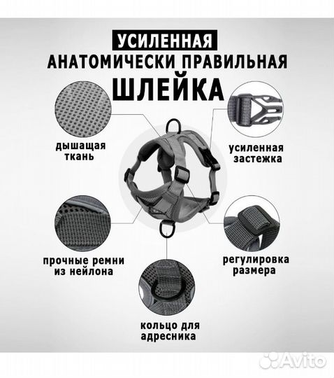 Шлейка для маленькой собаки