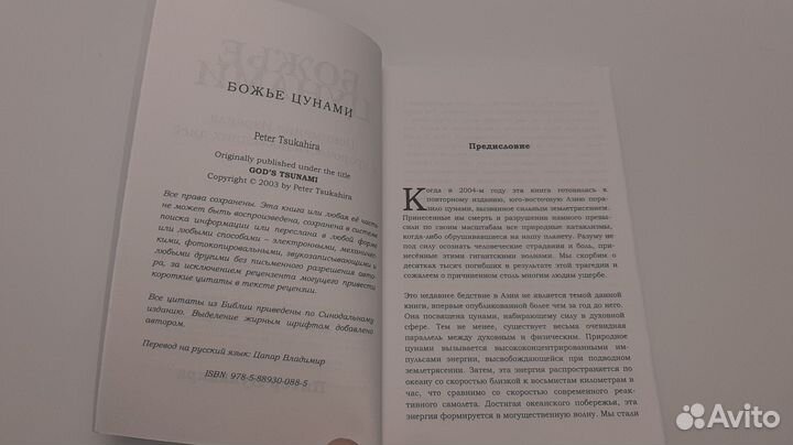 Божье цунами (Питер Цукахира)