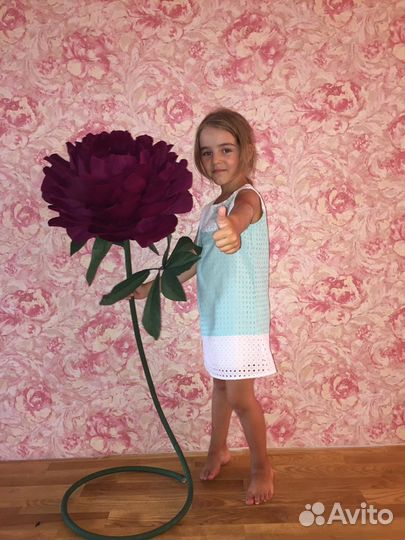 Ростовые цветы