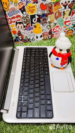 Ноутбук доступный на SSD для офисных задач и учебы