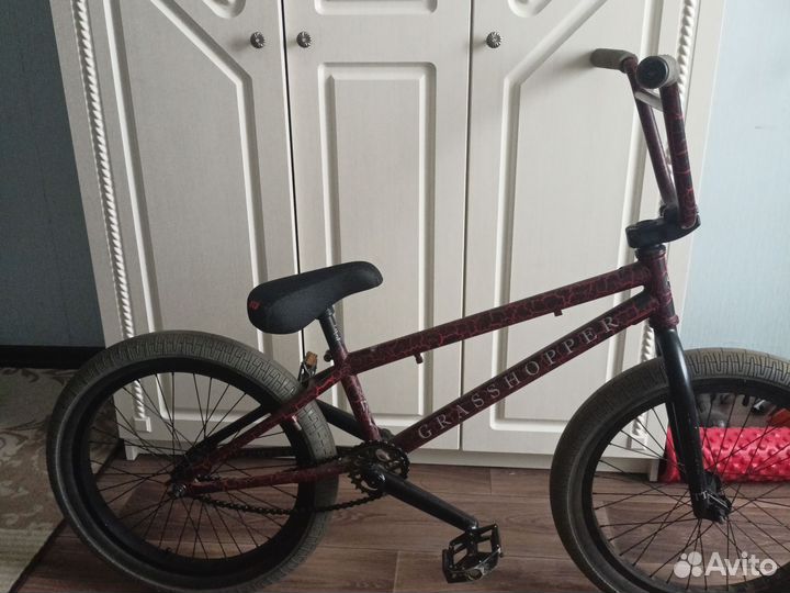 BMX TT grasshopper