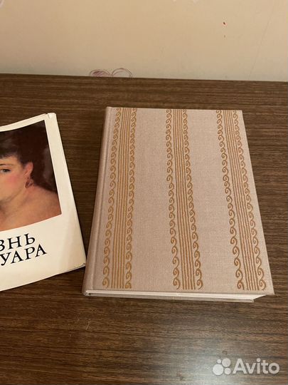 Жизнь Ренуа (Анри Перрюшо) 1979