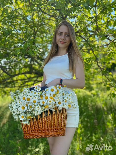 Администратор