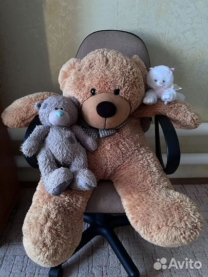 Плюшевый медведь