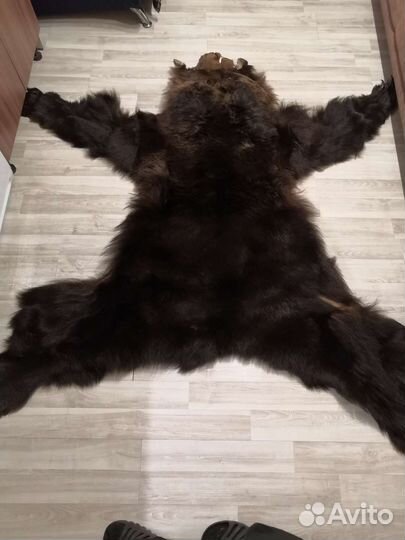 Шкурка медведя