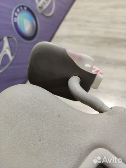 Козырек солнцезащитный Renault clio 3 Лев