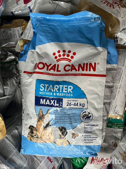 Корм для собак royal canin сухой