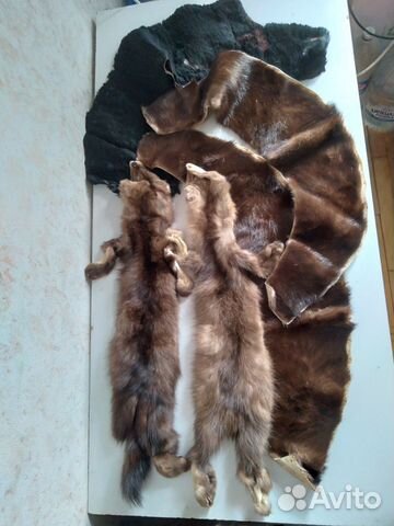 Норка шкурки, мутон от