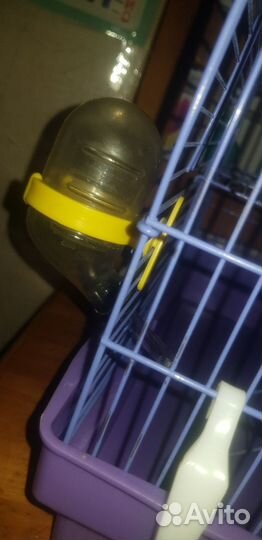 Клетка для грызунов бу