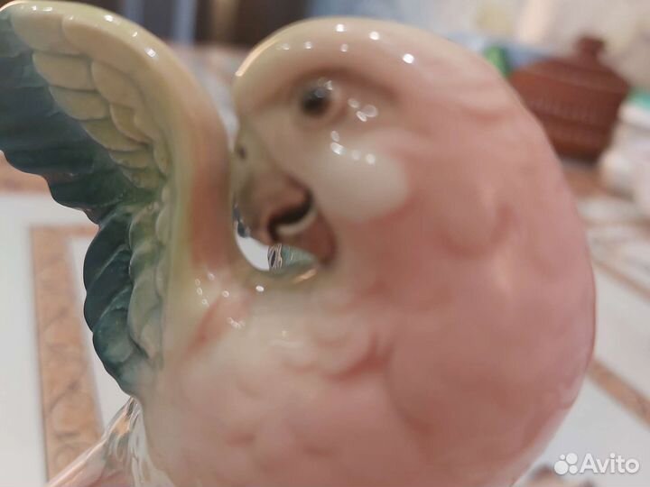 Винтаж статуэтка попугай Германия Hertwig