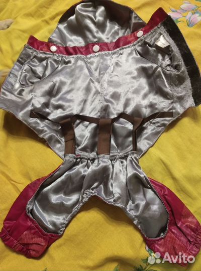 Комбинезон для маленькой собаки