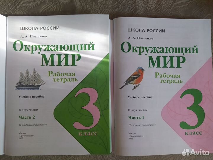 Рабочие тетради по окружающему миру для 3 класса