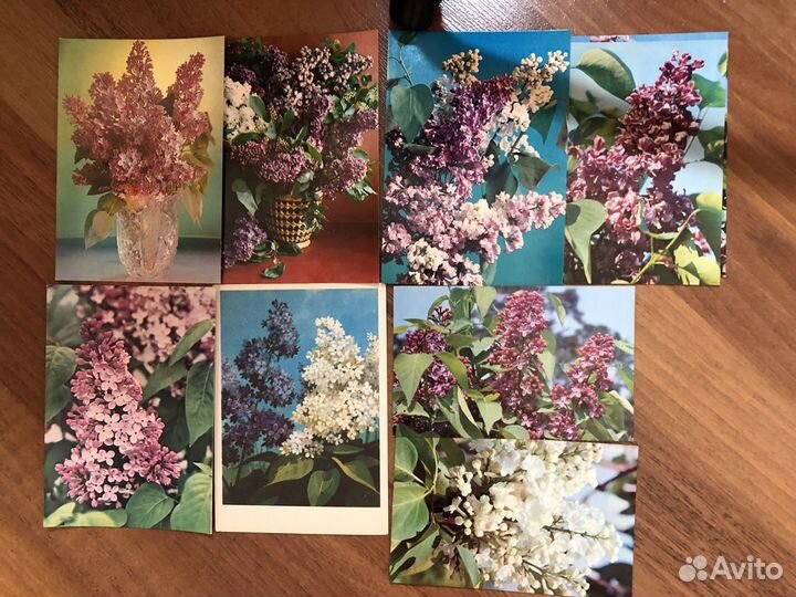 Открытки СССР цветы