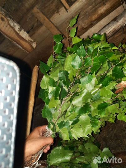 Березовые и дубовые веники