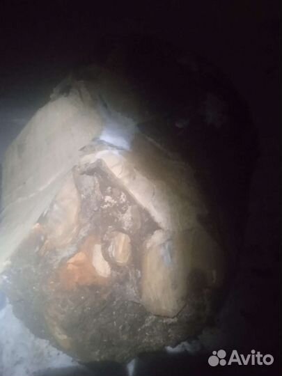 Кап березовый сувель